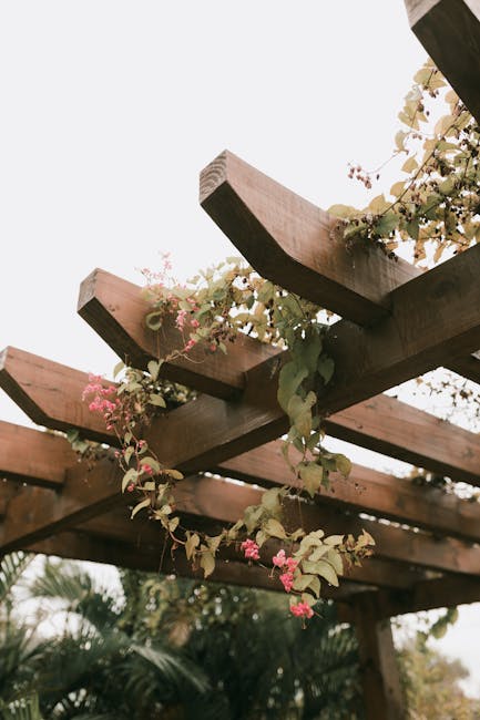 Montering av terass och pergola